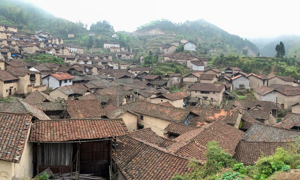 松阳县新兴镇-古韵茶香,诗画新兴