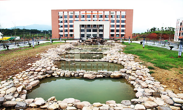 高标准的山水学府生态松阳第五中学李若瑶松阳五中14岁松阳五中图片