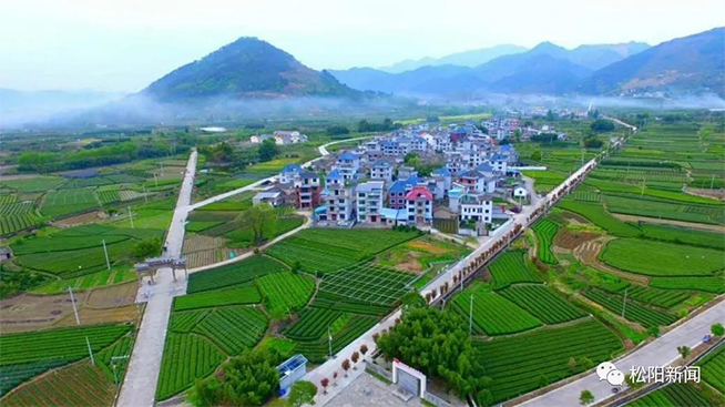 丽水两个镇上榜千年古城复兴试点建设名单-秀山丽水网 丽水市形象