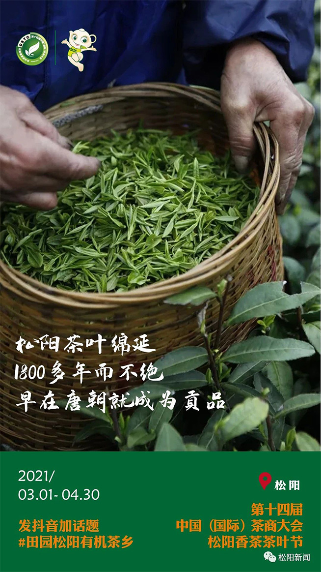 第十四届中国国际茶商大会61松阳香茶茶叶节等你来